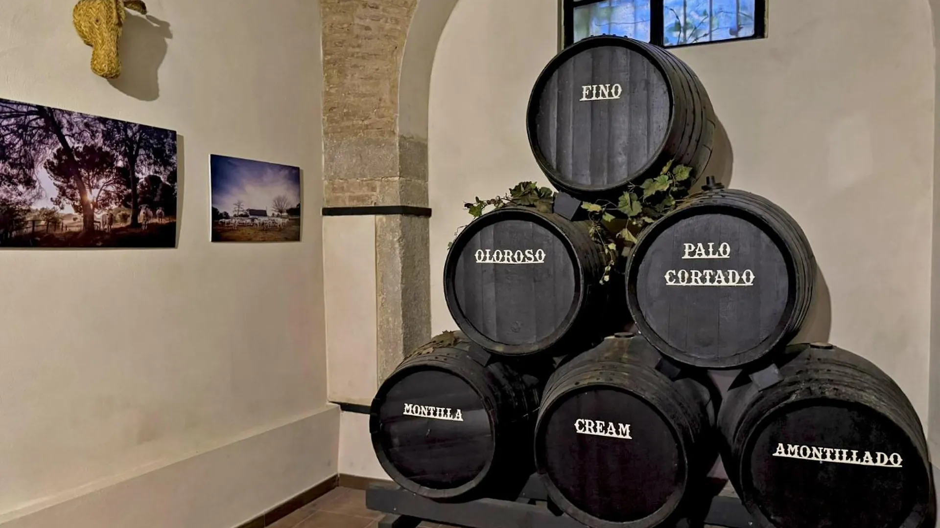 La Bodeguita - Ole Solutions Villa Jerez de la Frontera